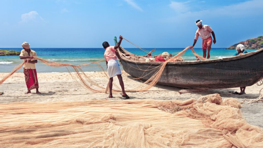 Untitled design 2024 10 27T231226.174 Untitled design 2024 10 27T231226.174