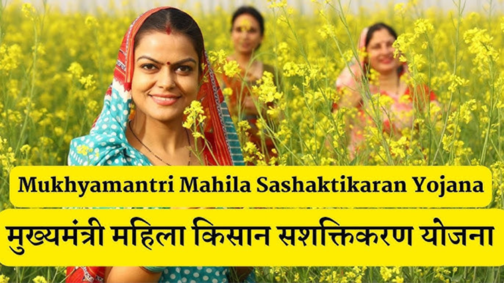 Untitled design 2024 10 29T002647.407 Untitled design 2024 10 29T002647.407