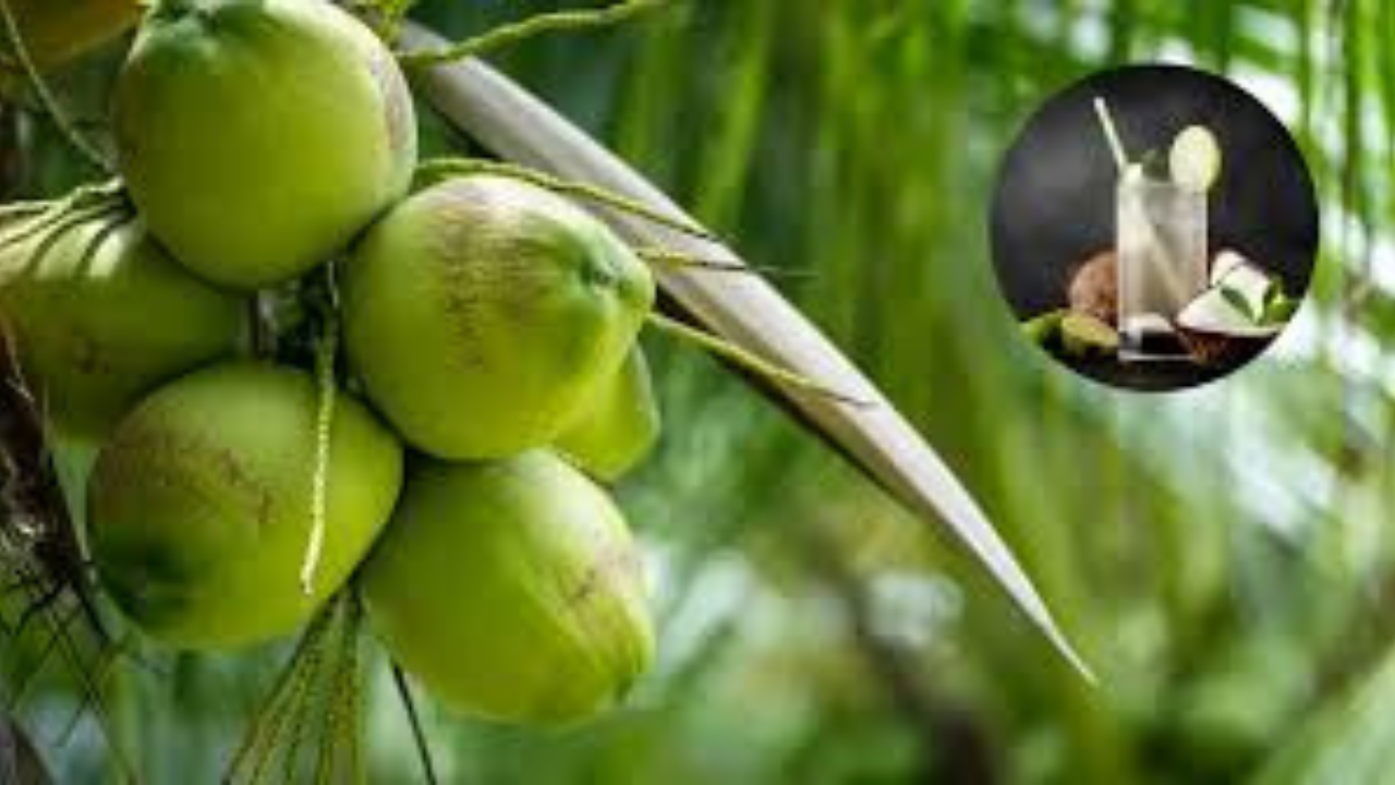 Untitled design 2024 10 30T141846.503