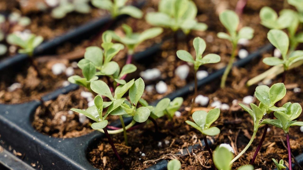 Untitled design 53 1