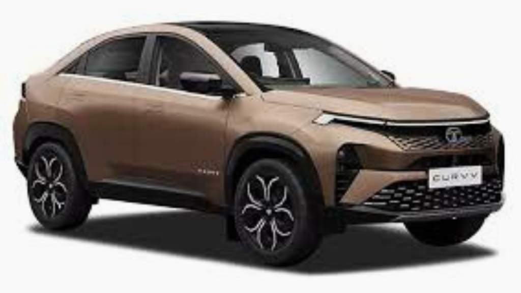 Untitled design 8 Untitled design 8