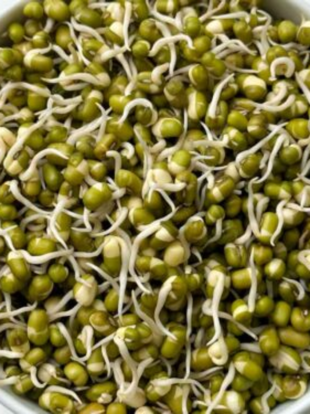 मूंग स्प्राउट्स: रोजाना सेवन से सेहत को बेमिसाल फायदे