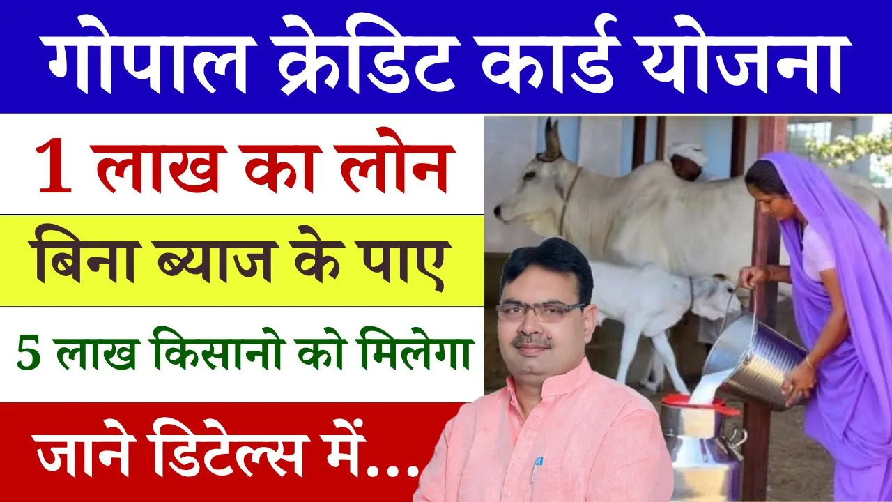 Untitled design 2024 11 13T074854.384