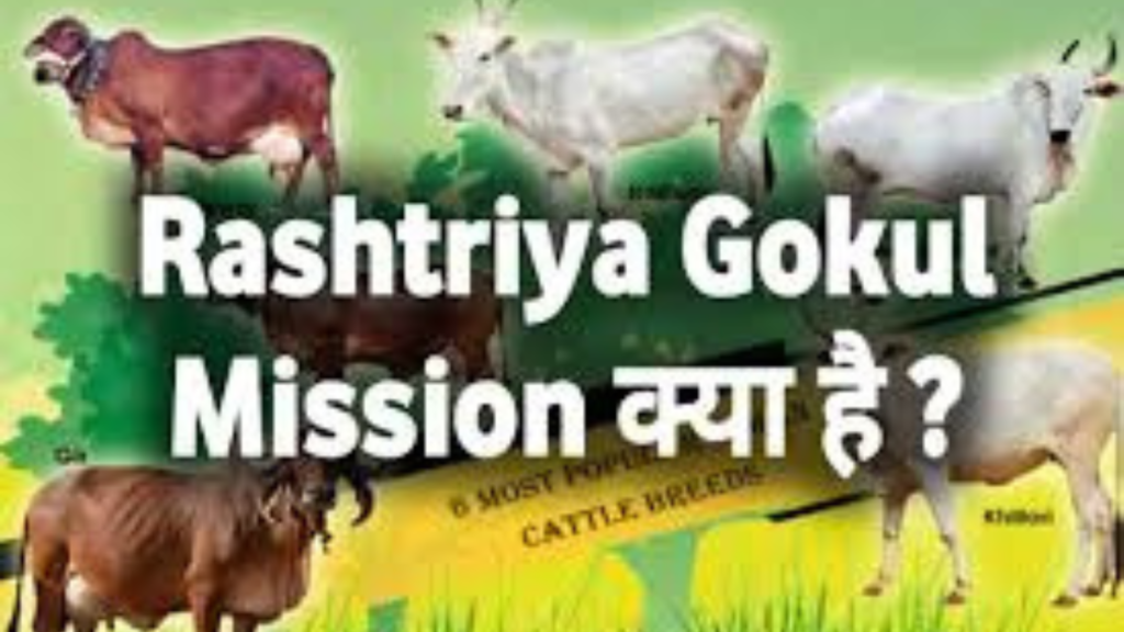 Untitled design 2024 12 04T170034.247 Untitled design 2024 12 04T170034.247