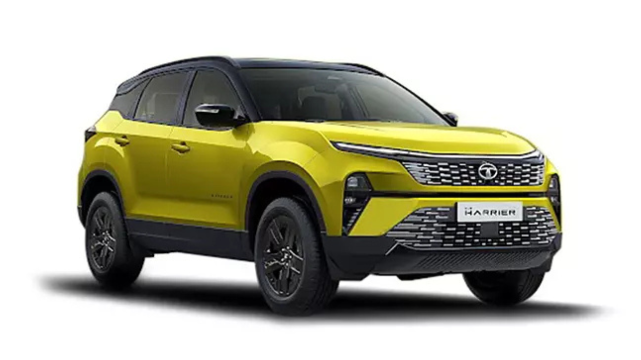 Untitled design 2024 12 13T113852.549