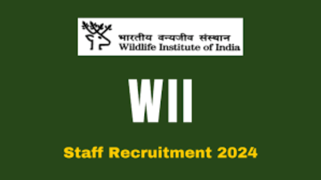 Untitled design 2024 12 24T163217.397 WII Recruitment 2024
