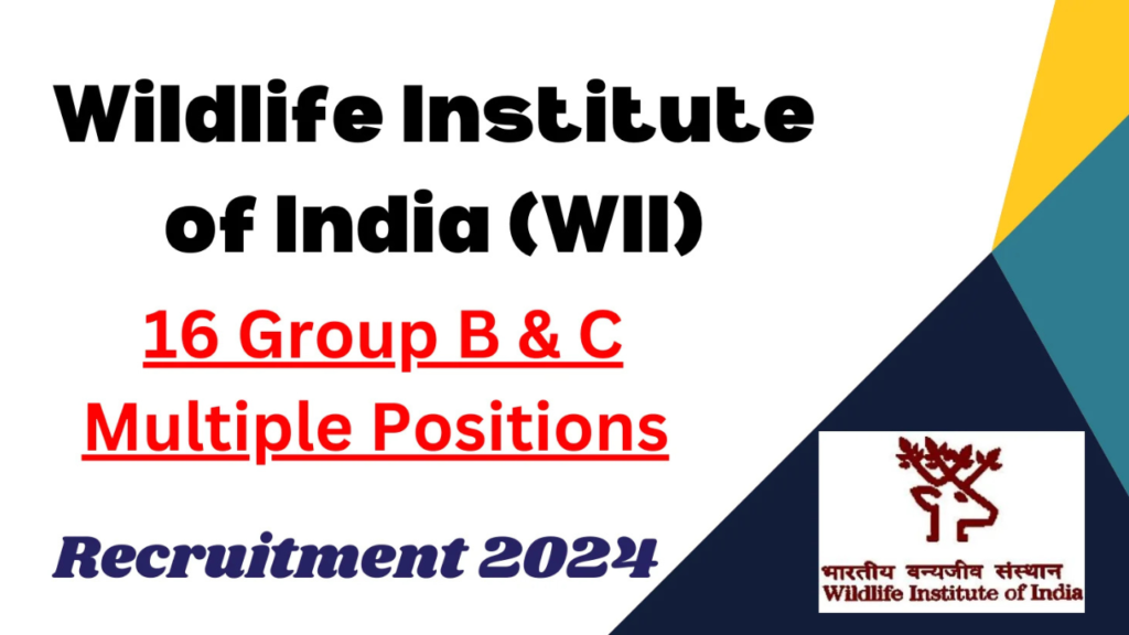 Untitled design 2024 12 24T163306.963