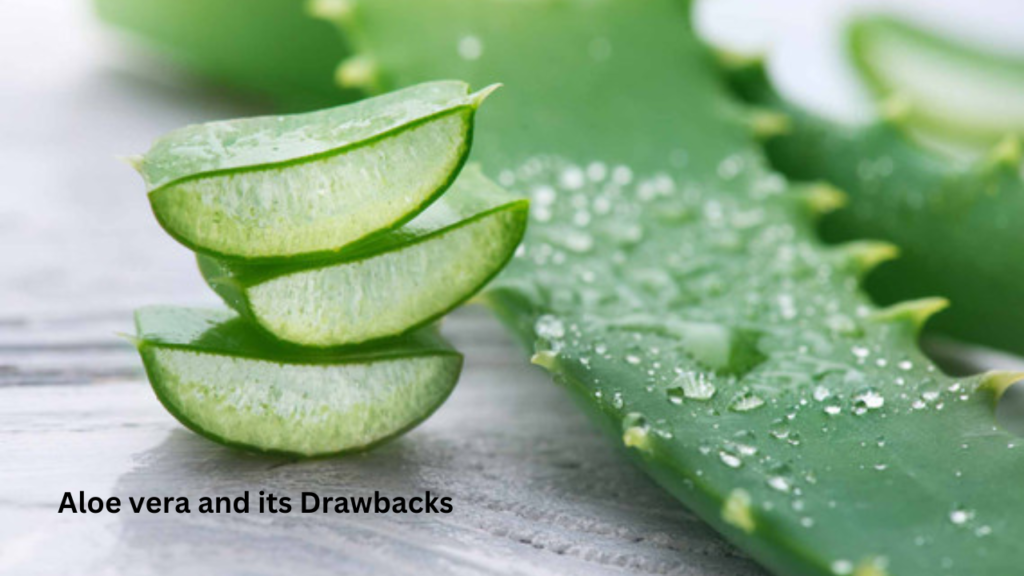 Aloe vera n its drawbacks Aloe vera n its drawbacks