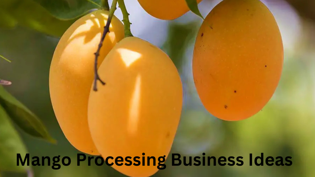 Mango Processing Business Ideas 2