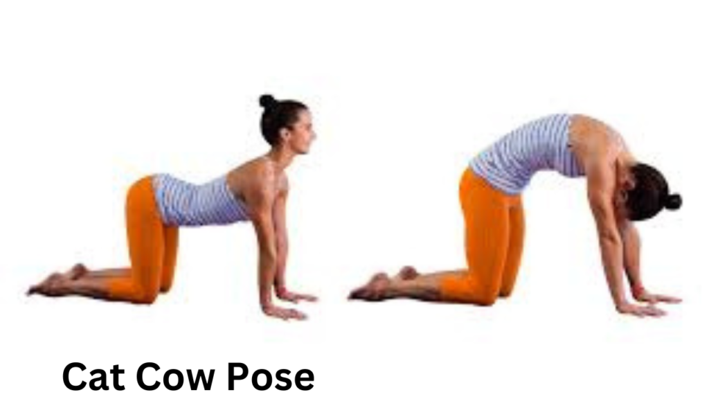 Morning Yoga poses 1 Morning Yoga poses 1