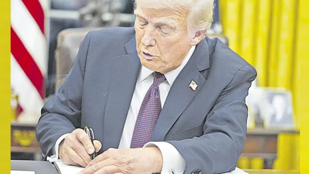 Untitled design 2025 01 22T102651.350 Untitled design 2025 01 22T102651.350