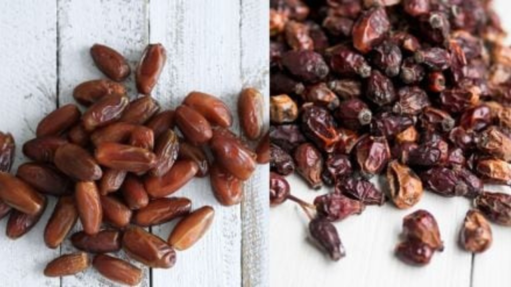 Untitled design 2025 01 29T150937.226 Untitled design 2025 01 29T150937.226