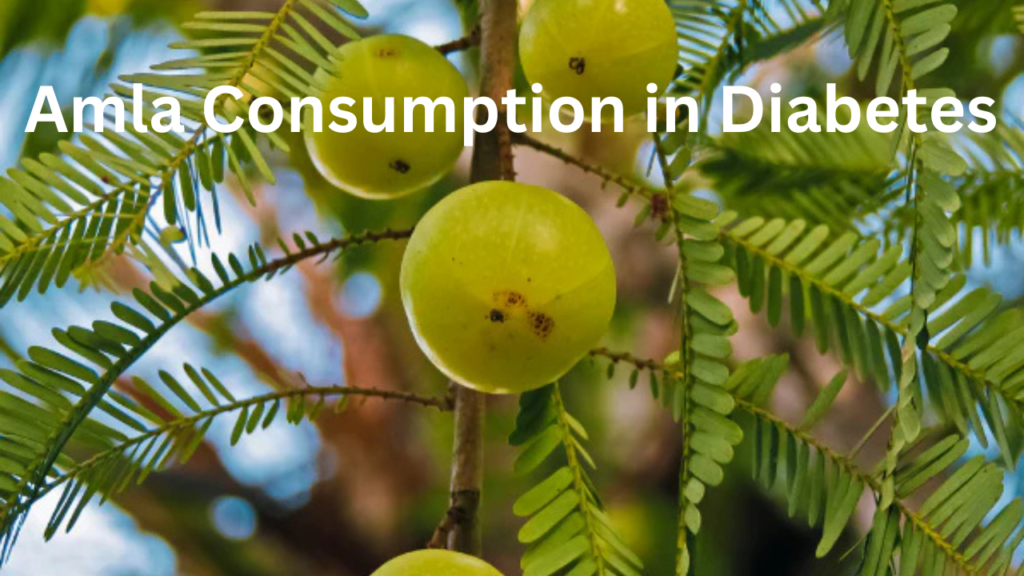 amla consumption in diabates 1