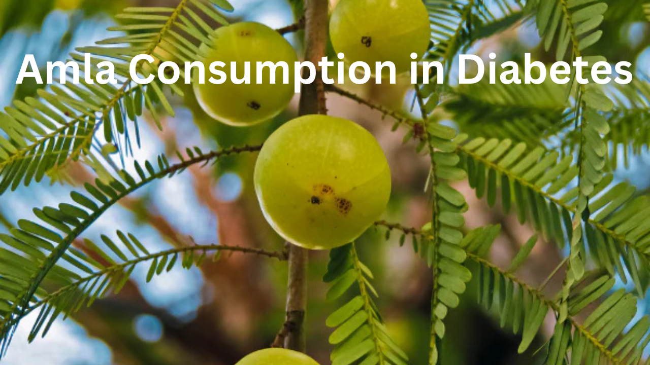 amla consumption in diabates 1
