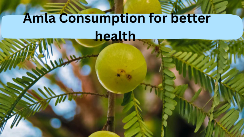 amla juice 2 amla juice 2