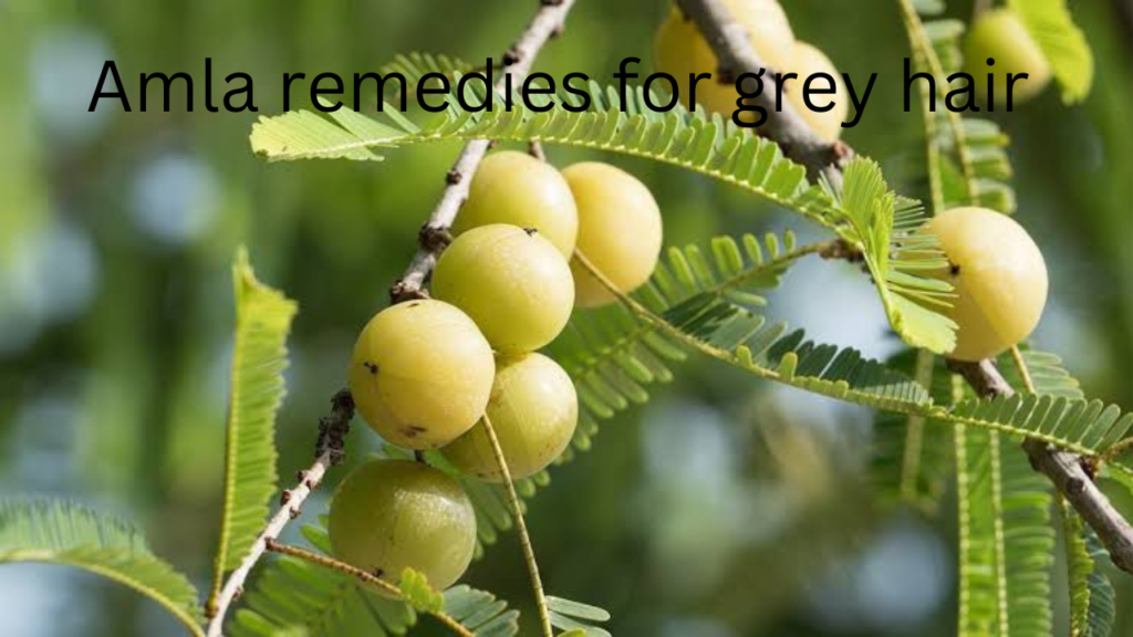 amla remedies amla remedies