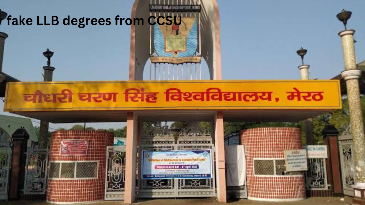 fake LLB degrees from CCSU 1