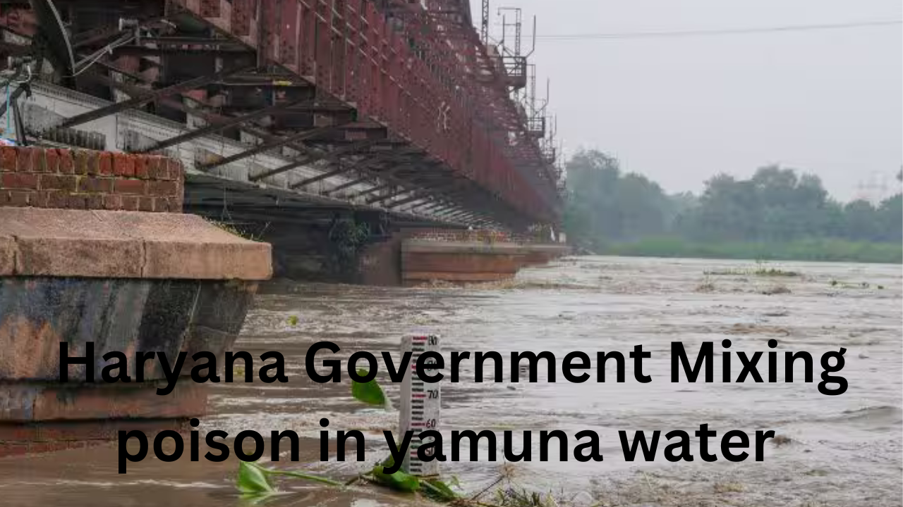yamuna river