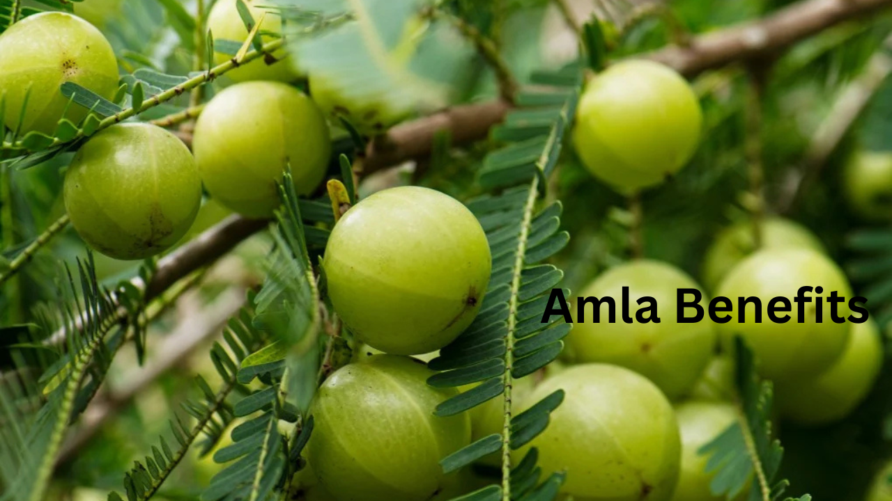 Amla Benefits