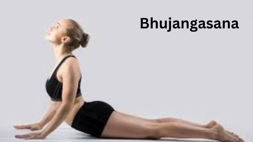 BHUJANGASAN BHUJANGASAN