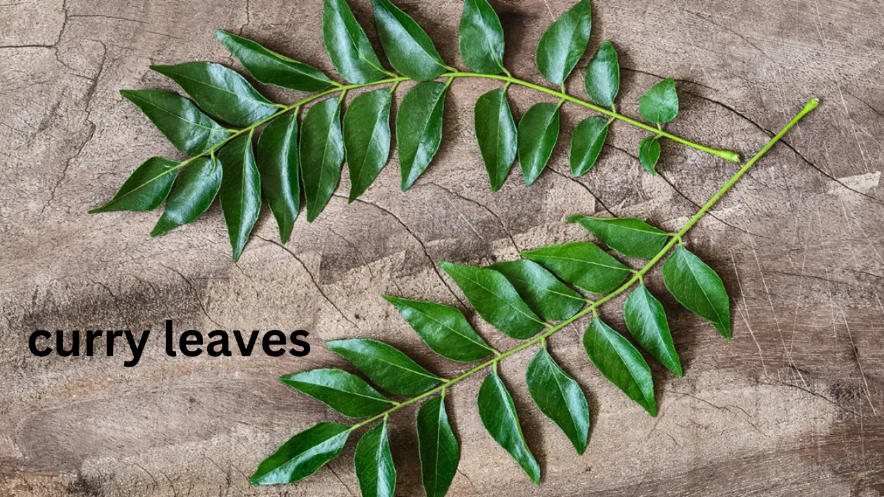 Google Pay Personal Loan 4