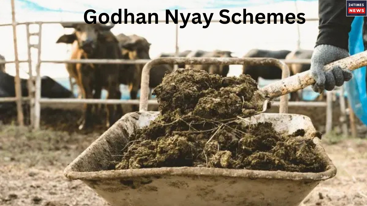 Petition for New Delhi Railway Station Stamped is rejected by SC 5