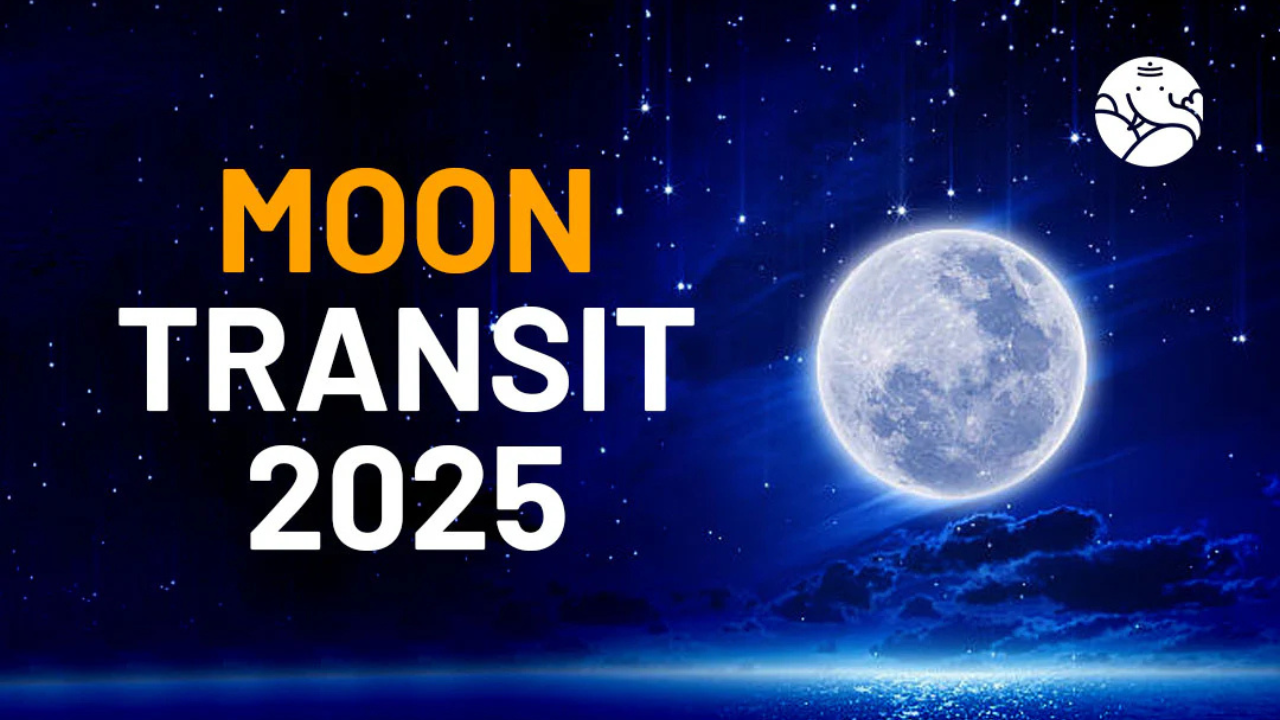 Untitled design 2025 02 08T121027.864