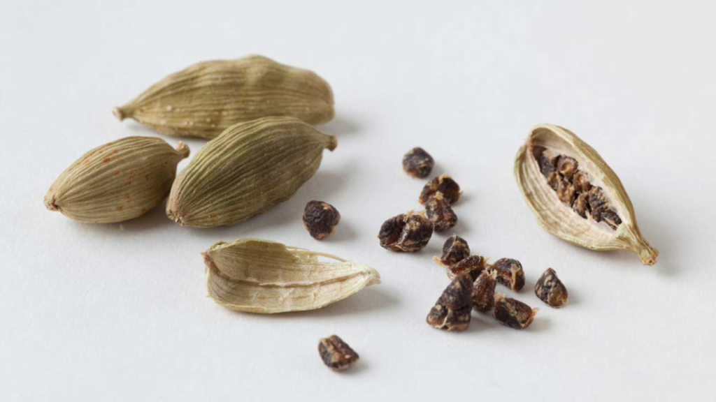 cardamom 1 cardamom 1