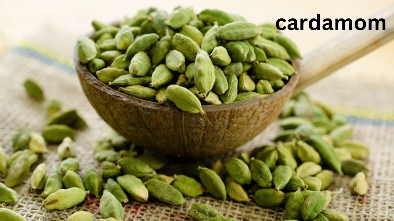 cardamom
