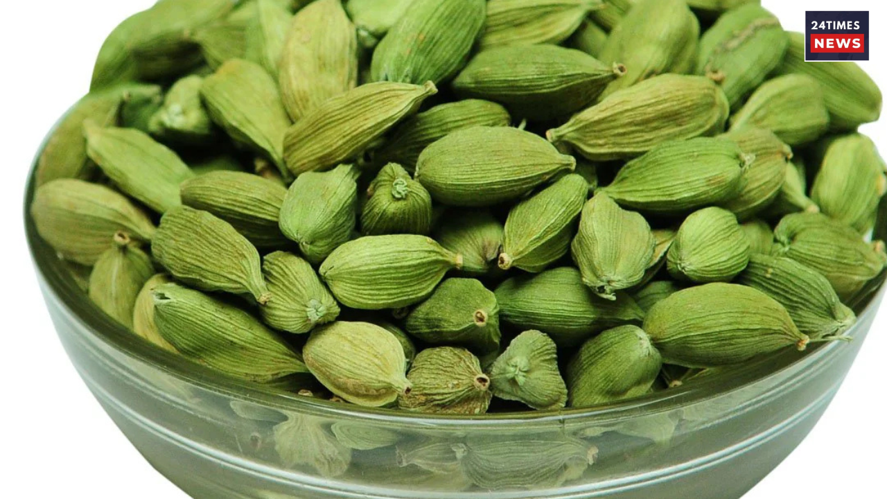 Untitled design 2025 03 22T154624.000