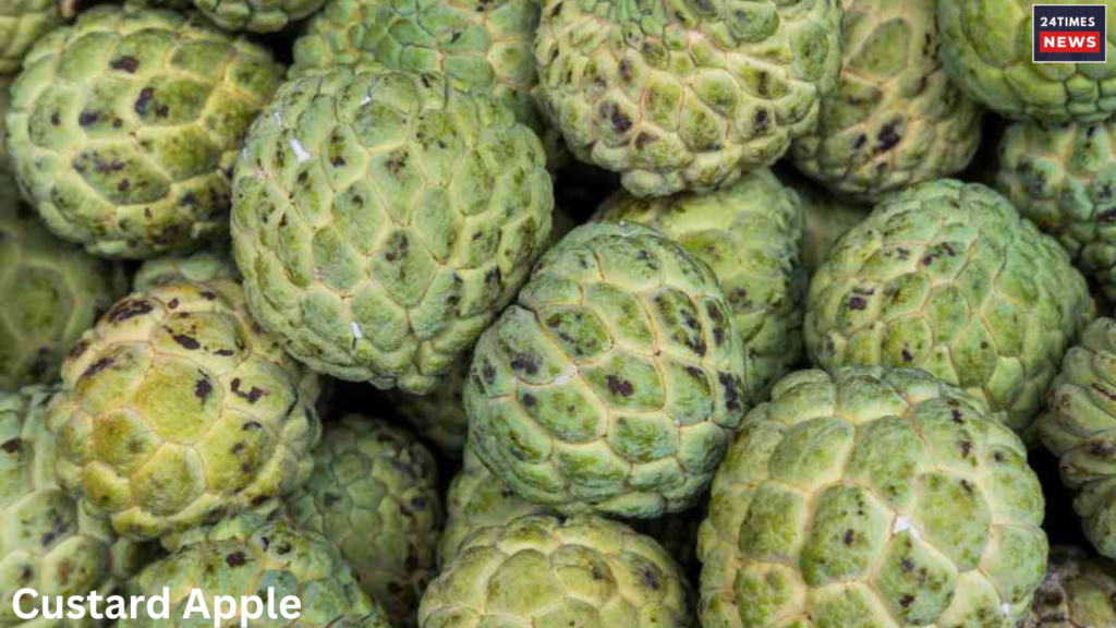 benefits of custard apple 1 benefits of custard apple 1