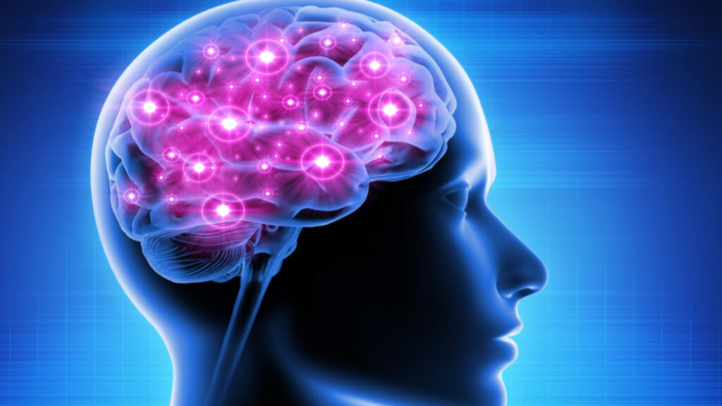 6310A9C1 DBC7 482C AD7F B96541443303