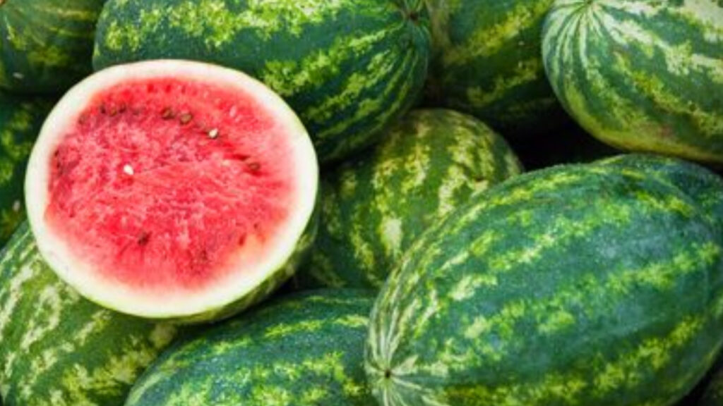 770CF483 E33F 47C0 90C3 88B7B45E55B5