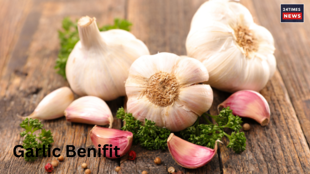 Cg Noni Sashaktikaran Scheme 2025 4 Garlic Benifit