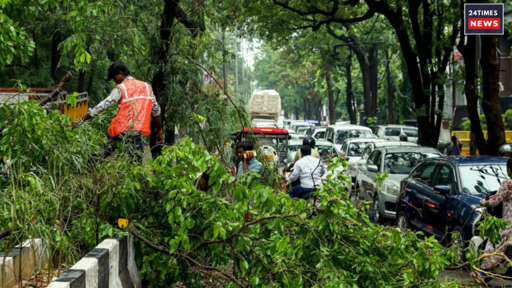 Delhi NCR 3 Delhi NCR 3