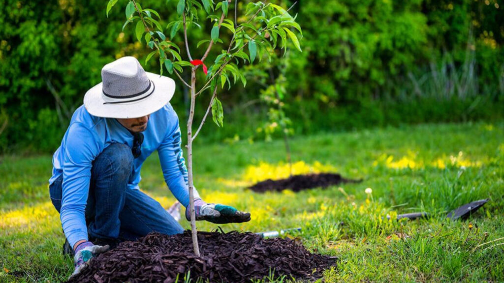 EACB4012 C9BD 4D9C 9330 C46BD171D16C EACB4012 C9BD 4D9C 9330 C46BD171D16C