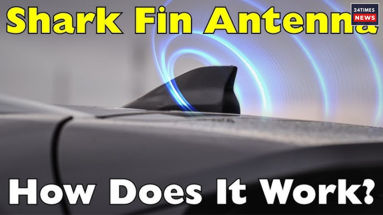 Untitled design 2025 05 12T235413.788