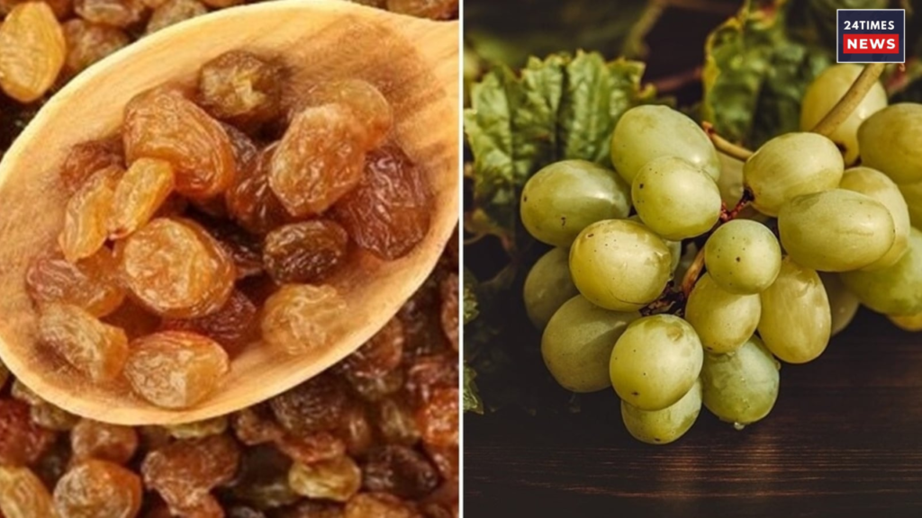 Untitled design 2025 05 16T101459.918 benefits of raisins