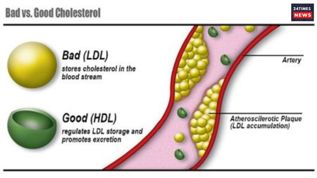 Untitled design 2025 05 19T190014.507 bad cholesterol