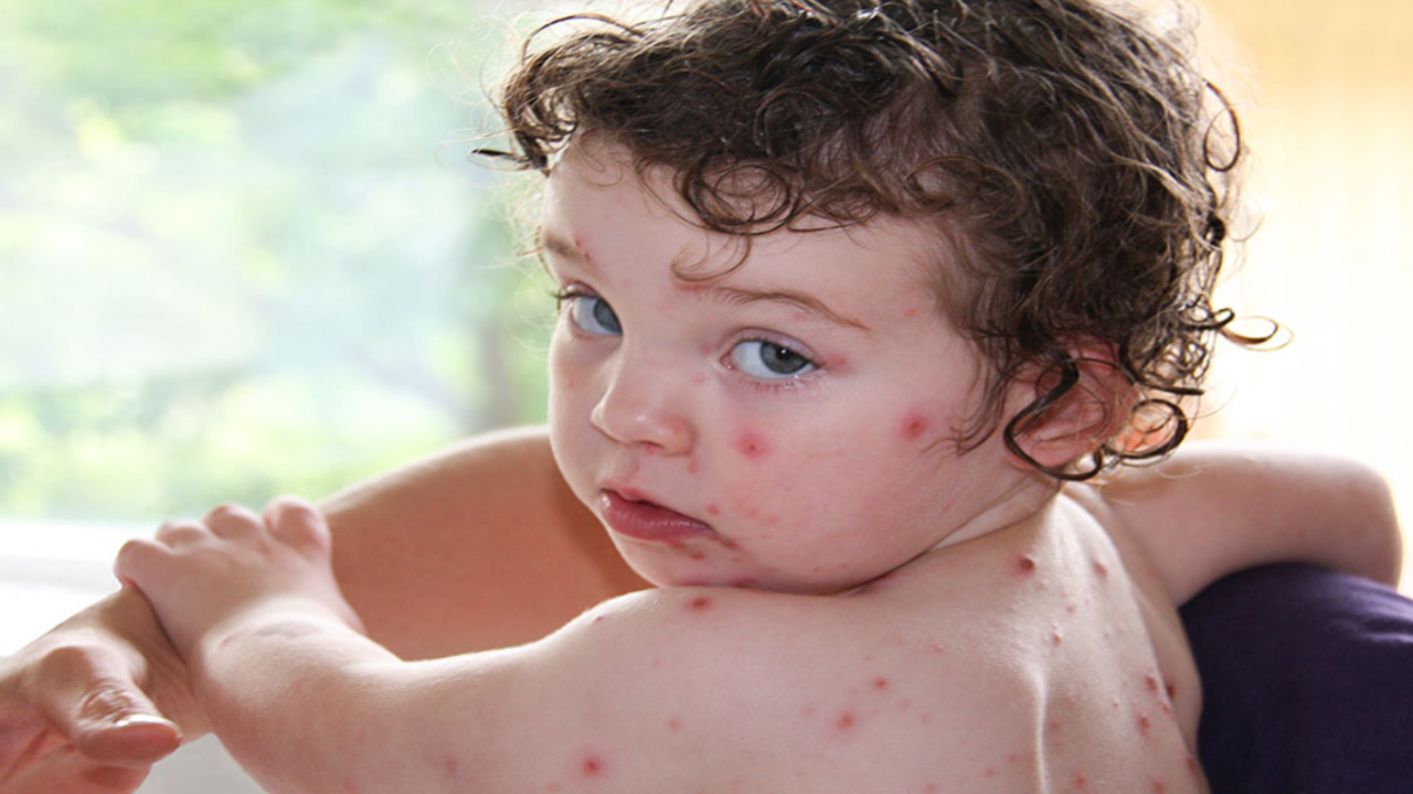 054F13E8 4273 4102 A3DA 991535458127