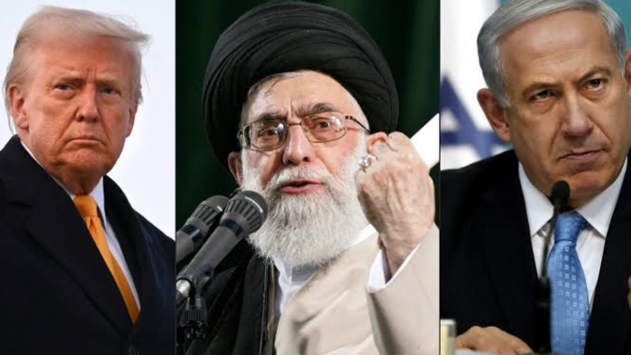 1B66030D C8AB 49C0 9E96 6EEDE1A1C5E9