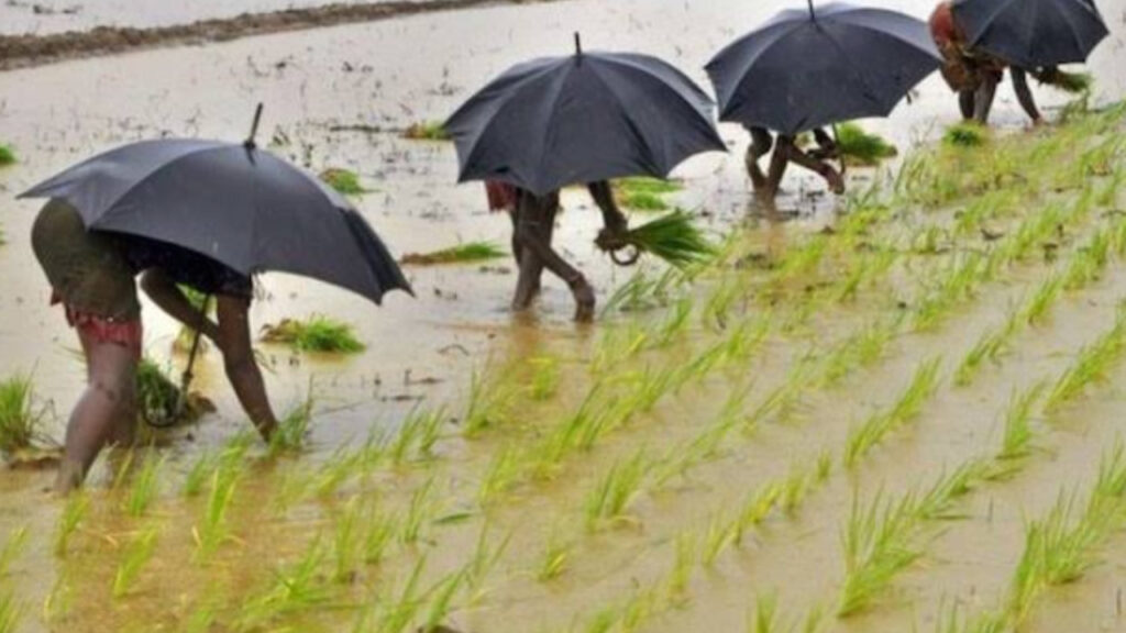 CBEF2C6B 9CCE 4A36 9778 71B34355D9F3