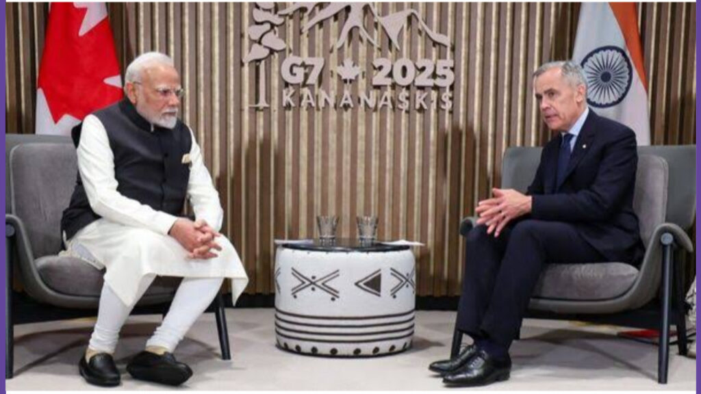 D11D33FF 1C65 4432 856E 4D297B5E2914