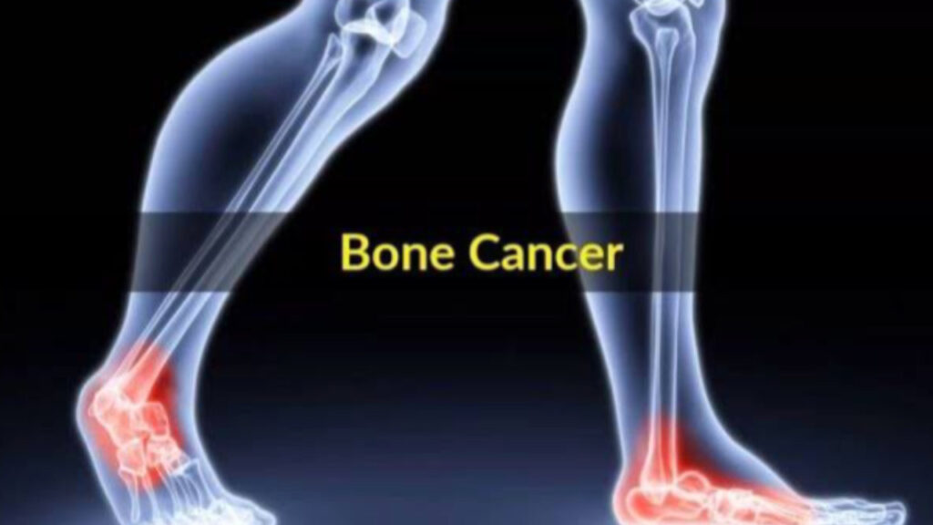 E1A3FFC6 EF97 4E40 8AA1 960B03C1D08C E1A3FFC6 EF97 4E40 8AA1 960B03C1D08C