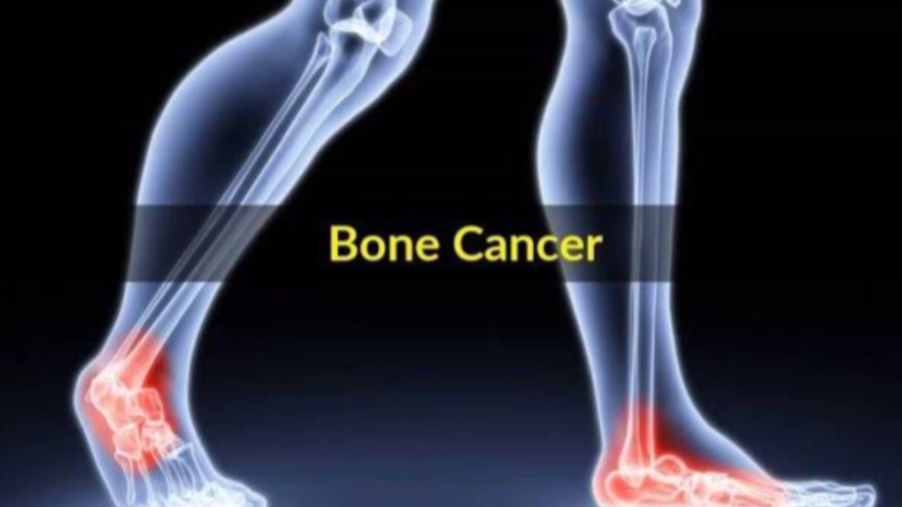 E1A3FFC6 EF97 4E40 8AA1 960B03C1D08C