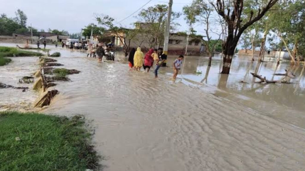 E62EB6A5 7C87 4A2B B332 080B902CB38C E62EB6A5 7C87 4A2B B332 080B902CB38C