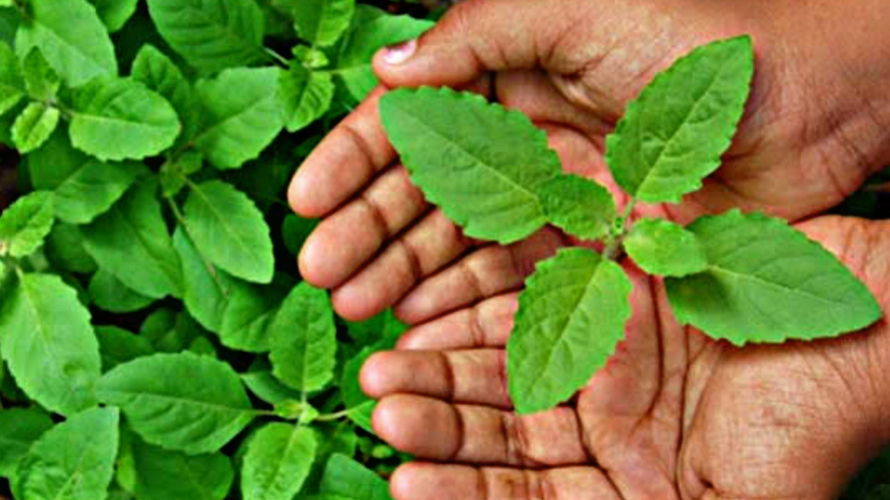 F4AECE92 3B77 4761 BF16 ED3A8426AEBB