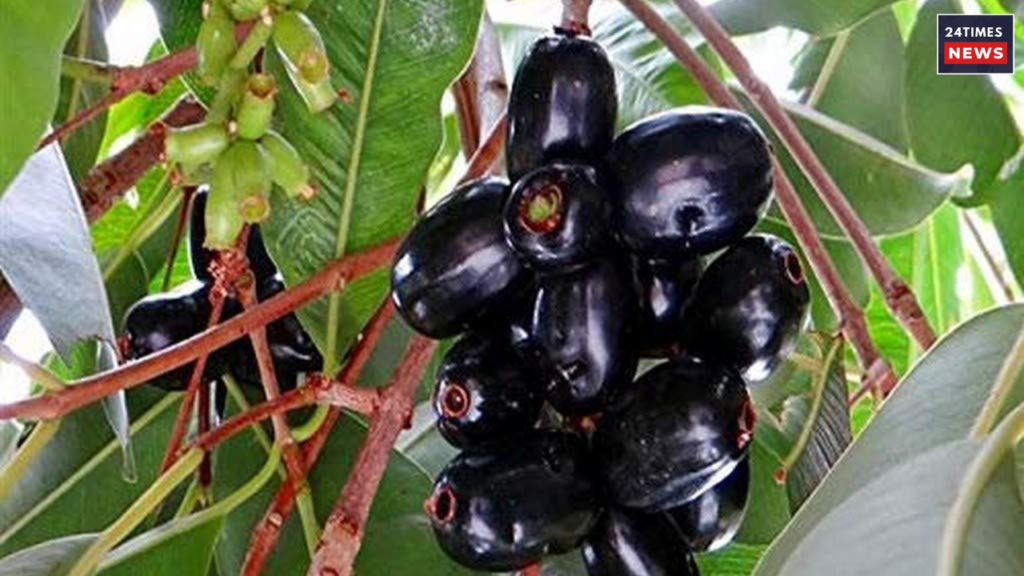 Untitled design 2025 06 24T231322.098