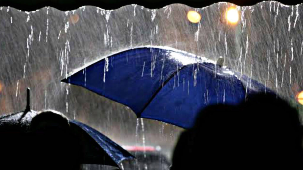 0E8C2159 AE32 46B2 89B5 222647769049 1 0E8C2159 AE32 46B2 89B5 222647769049 1