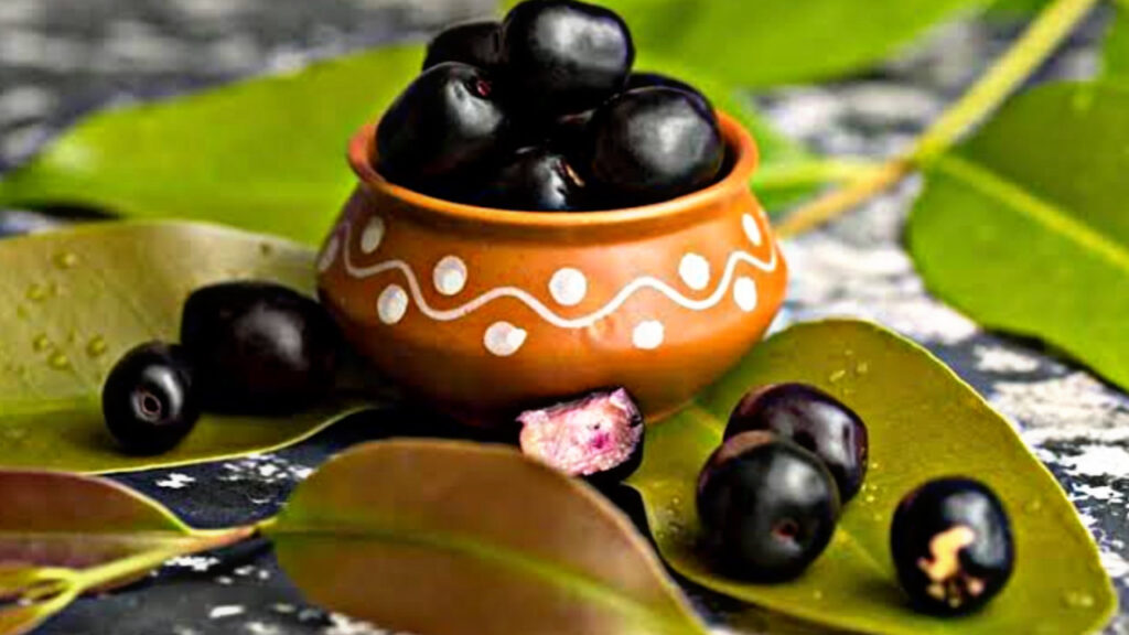 11FAA9FF E21A 4CEB BBEC 9A6F3E921ED2 11FAA9FF E21A 4CEB BBEC 9A6F3E921ED2